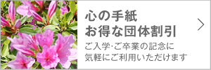 心の手紙 お得な団体割引